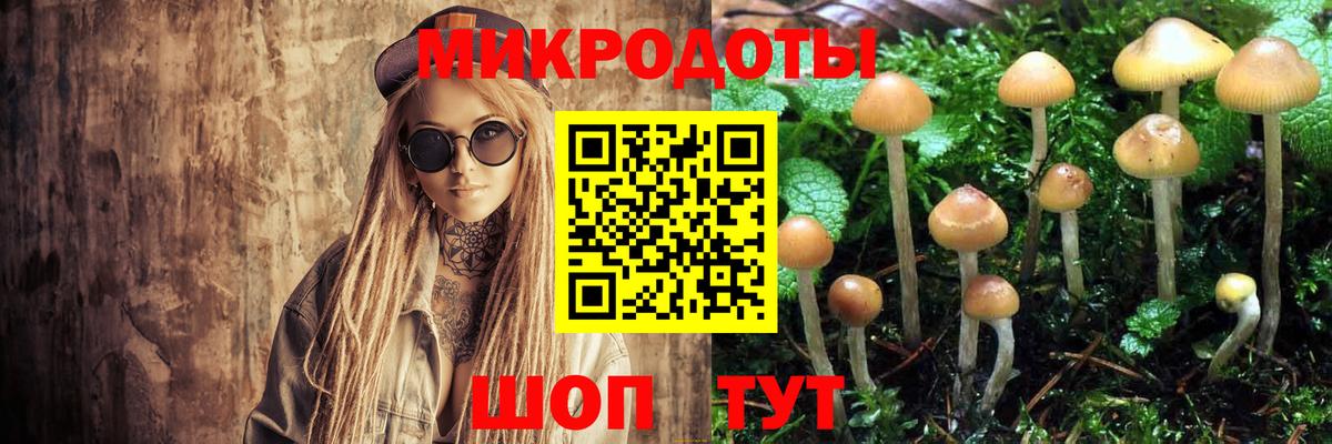 Псилоцибиновые грибы Magic Shrooms Казань