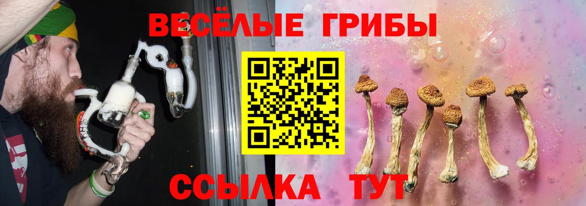 Галлюциногенные грибы ЛСД  Вход с VPN  Псилоцибиновые грибы Psilocybe  Казань 